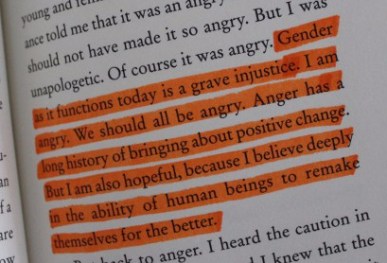 we should all be feminists 3