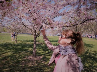 K at cherry blossom branch.jpg
