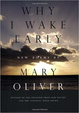 why i wake early mary oliver