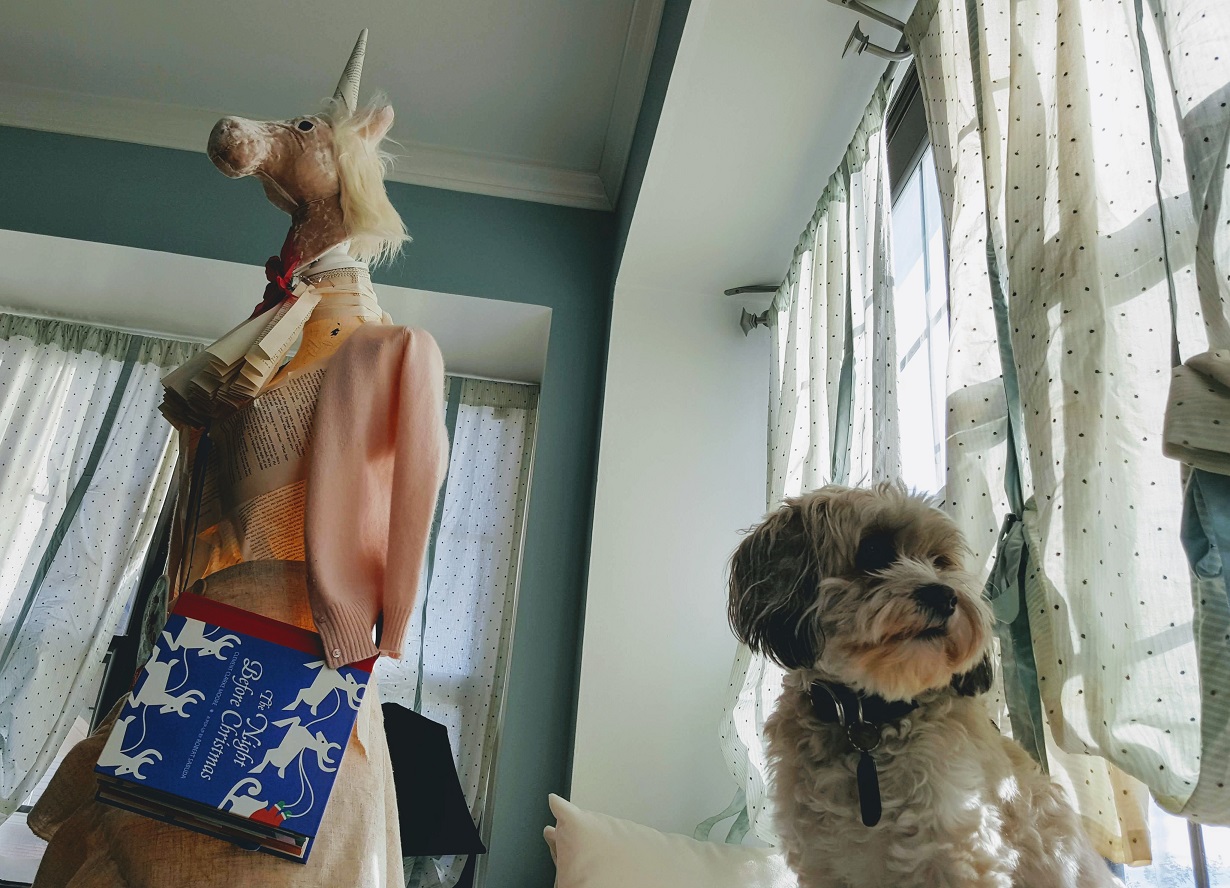 bookmas unicorn and cupcake